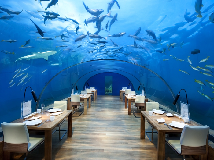 ithaa_undersea_restaurant_conrad_maldives.jpg