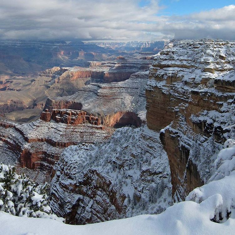 grand_canyon_grandcanyonnps_on_instagram.jpg