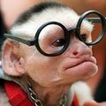 A szem helyreállítása egyszerű tornával