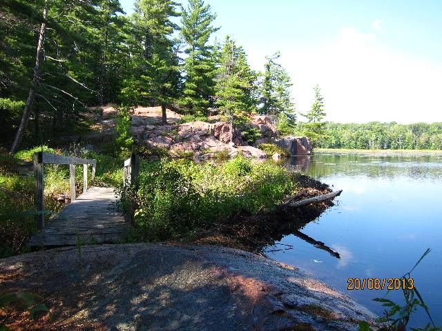 Cranberry Bog Trail, hódvár.jpg