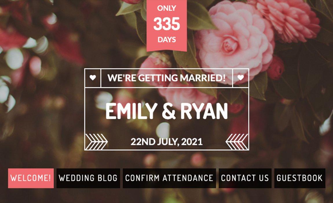 66319-wedding-websites.jpeg