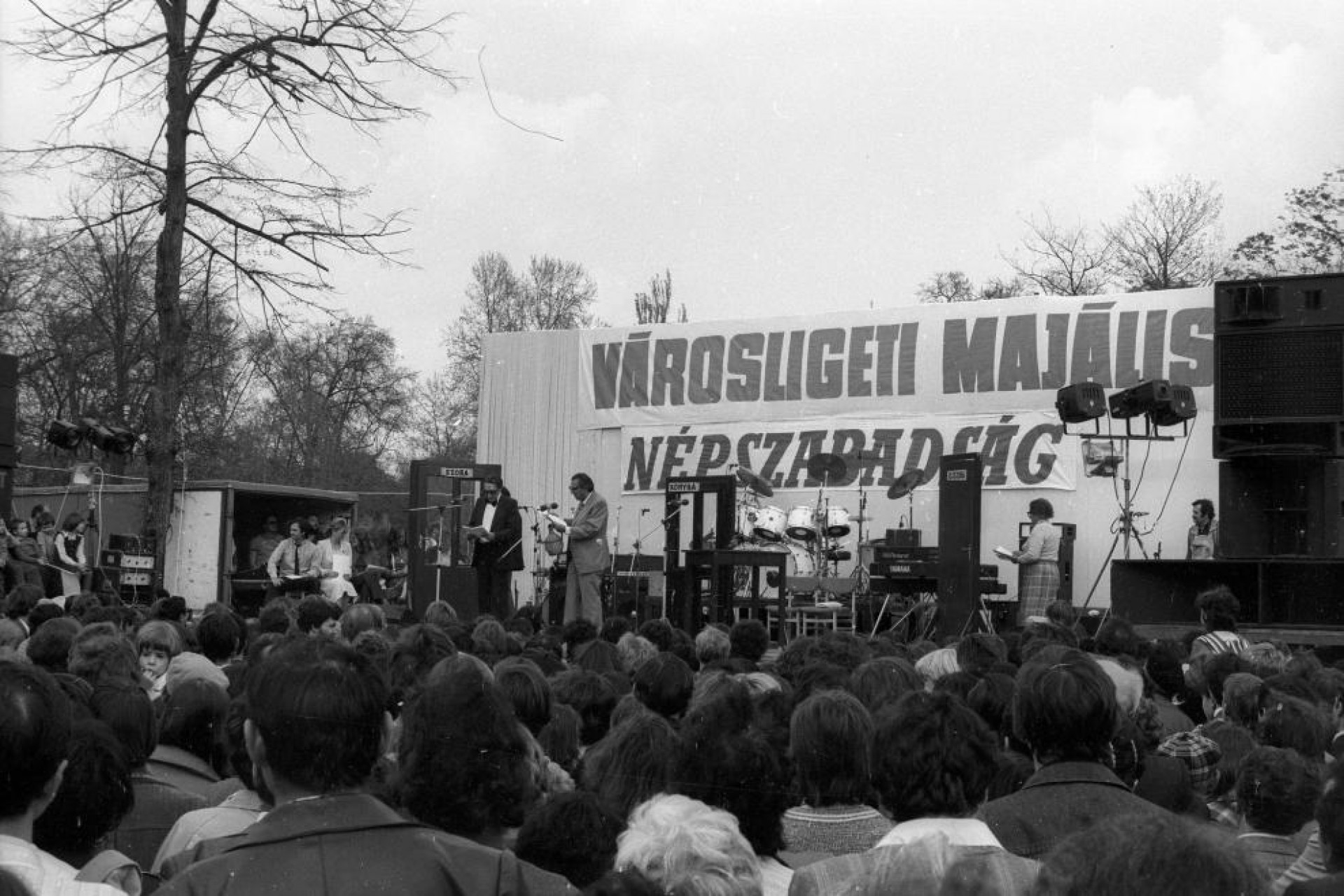 1980_majalis.jpeg
