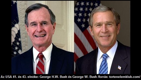 2bush.jpg