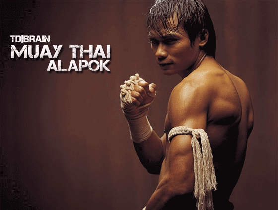 muay-thai-alapok.gif