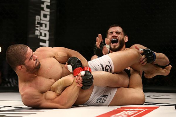 palhares-fitch.jpg