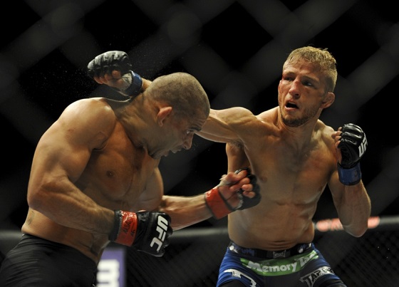 renan-barao-tj-dillashaw-mma-ufc-173-renan-barao-vs.-tj-dillashaw3.jpg