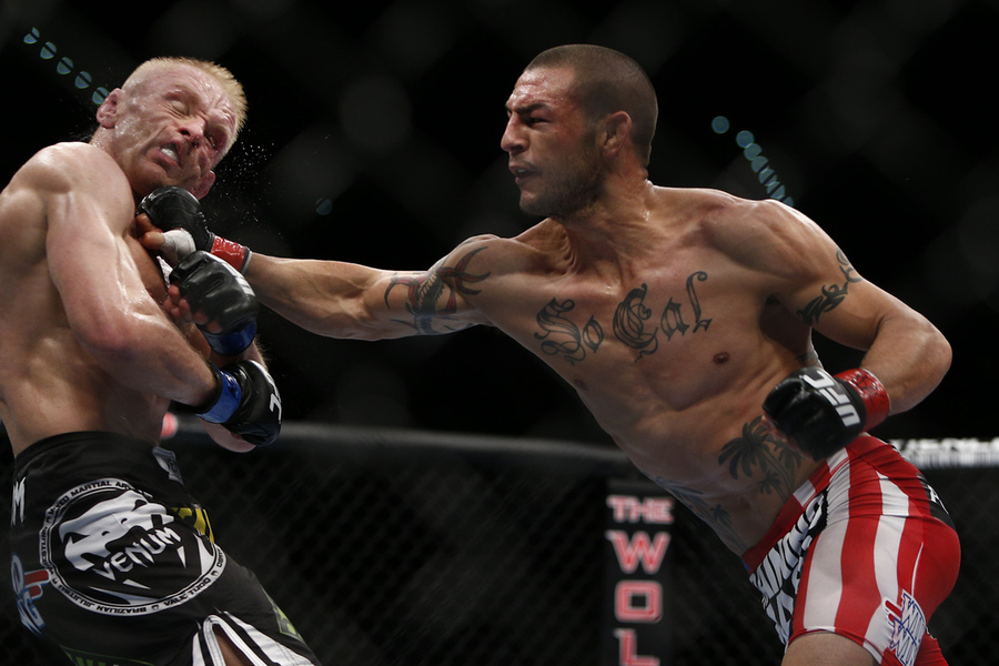 cub_swanson_beautiful_destruction.jpg