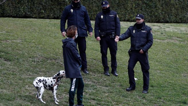 paseo-de-perros-en-el-estado-de-alarma.jpeg