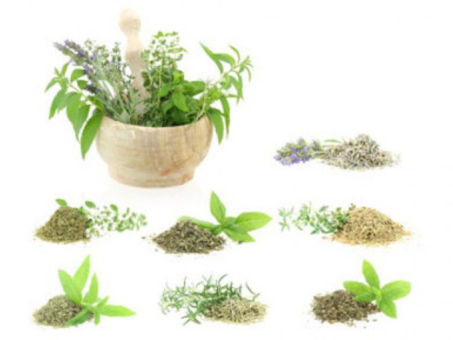 Rádió Bézs: zöldfűszerek tartósítása