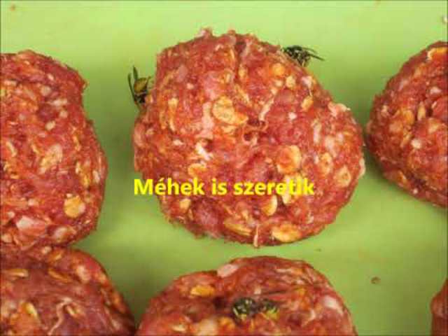 2017 augusztus 13 Heti Betevő budaörsi önkéntesek