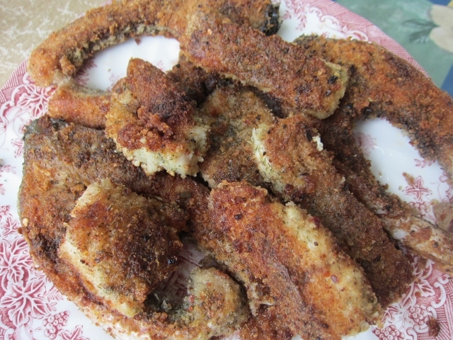 Rádió Bézs: Halak és vadak