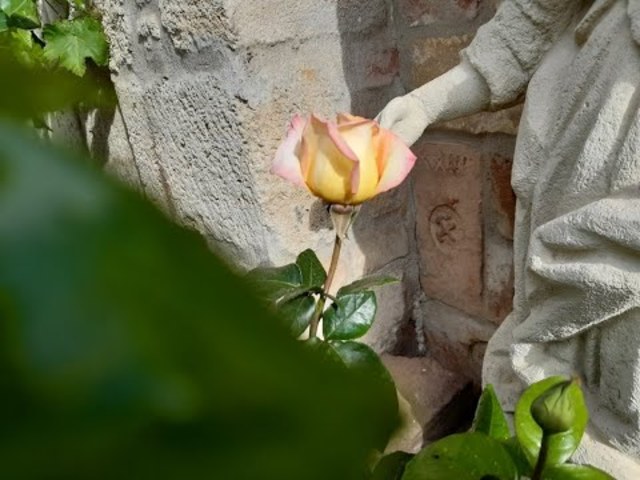 Heti Betevő Egyesület budaörsi önkéntesek 2020 május 24