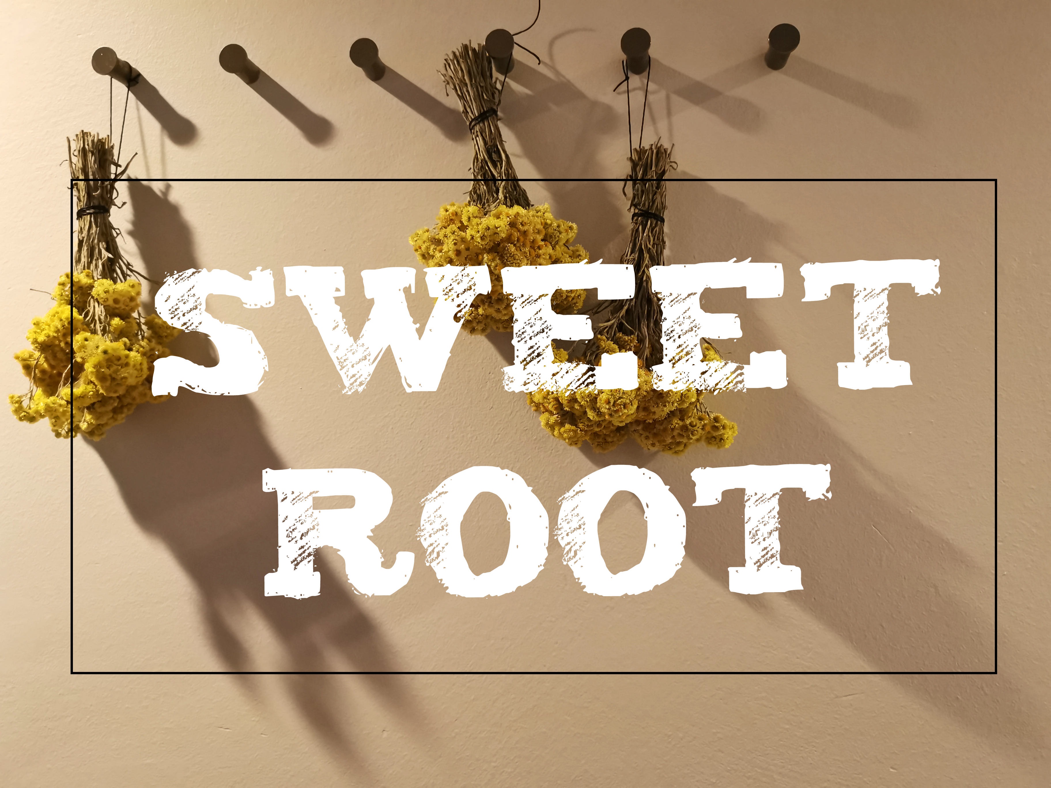 sweet_root2.jpg