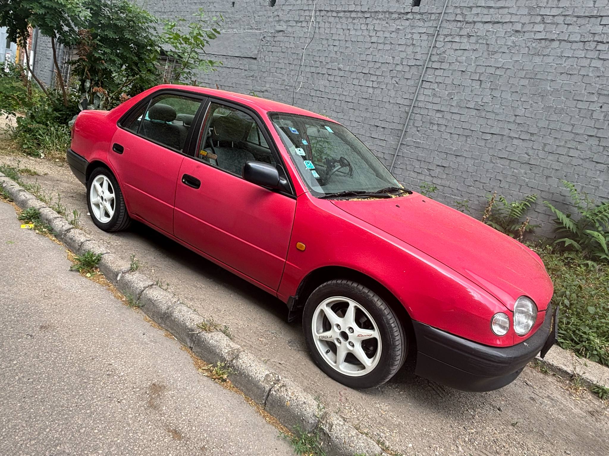 corolla_junius_01.jpg