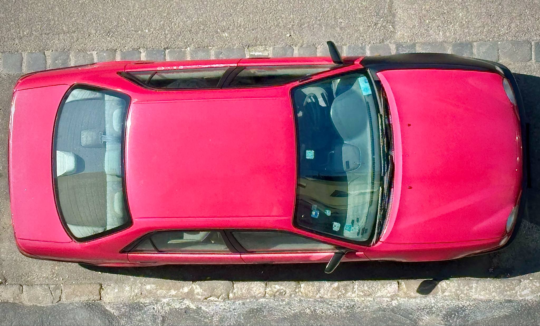 corolla_junius_02.jpg