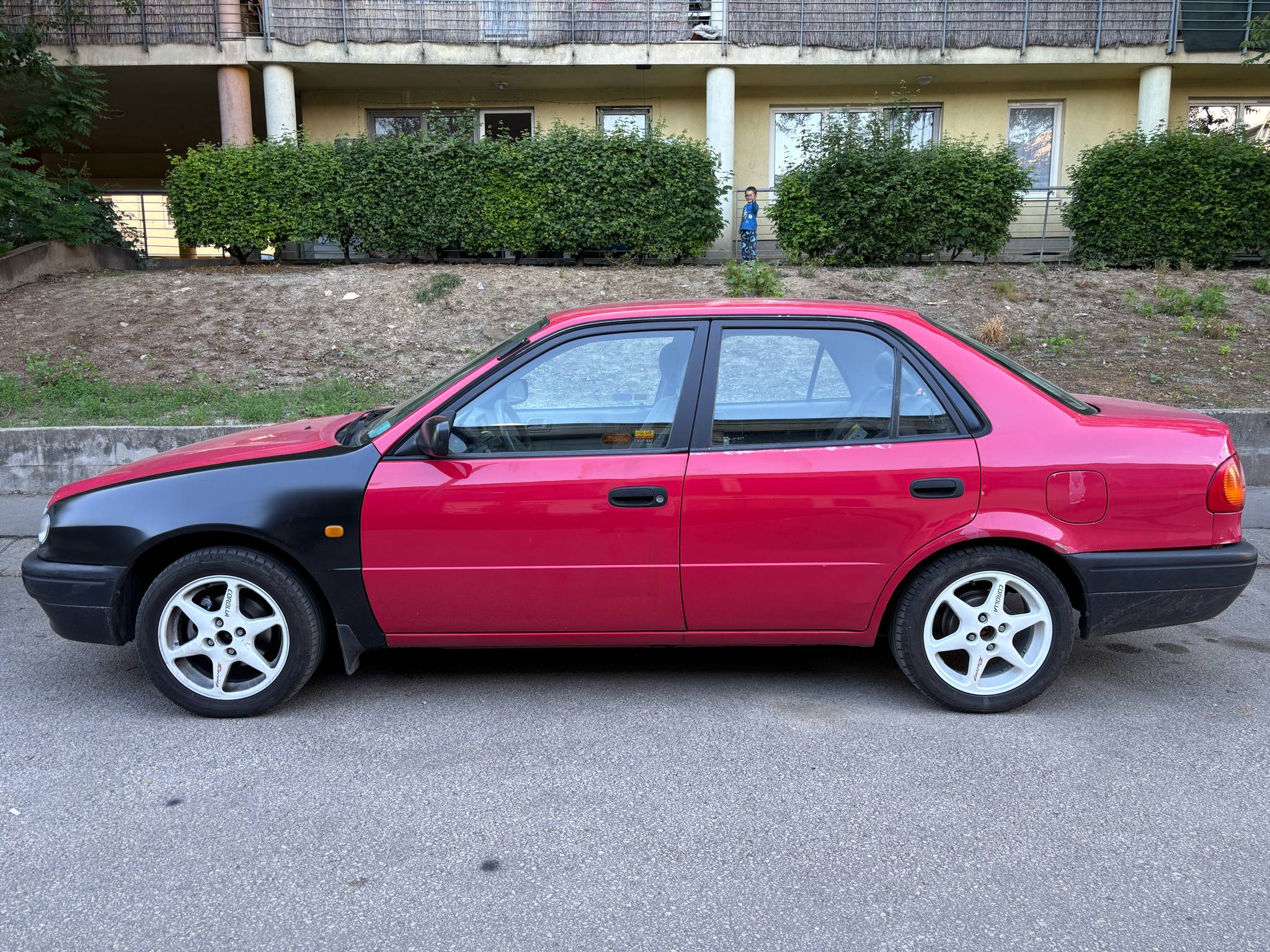 corolla_junius_03.jpg