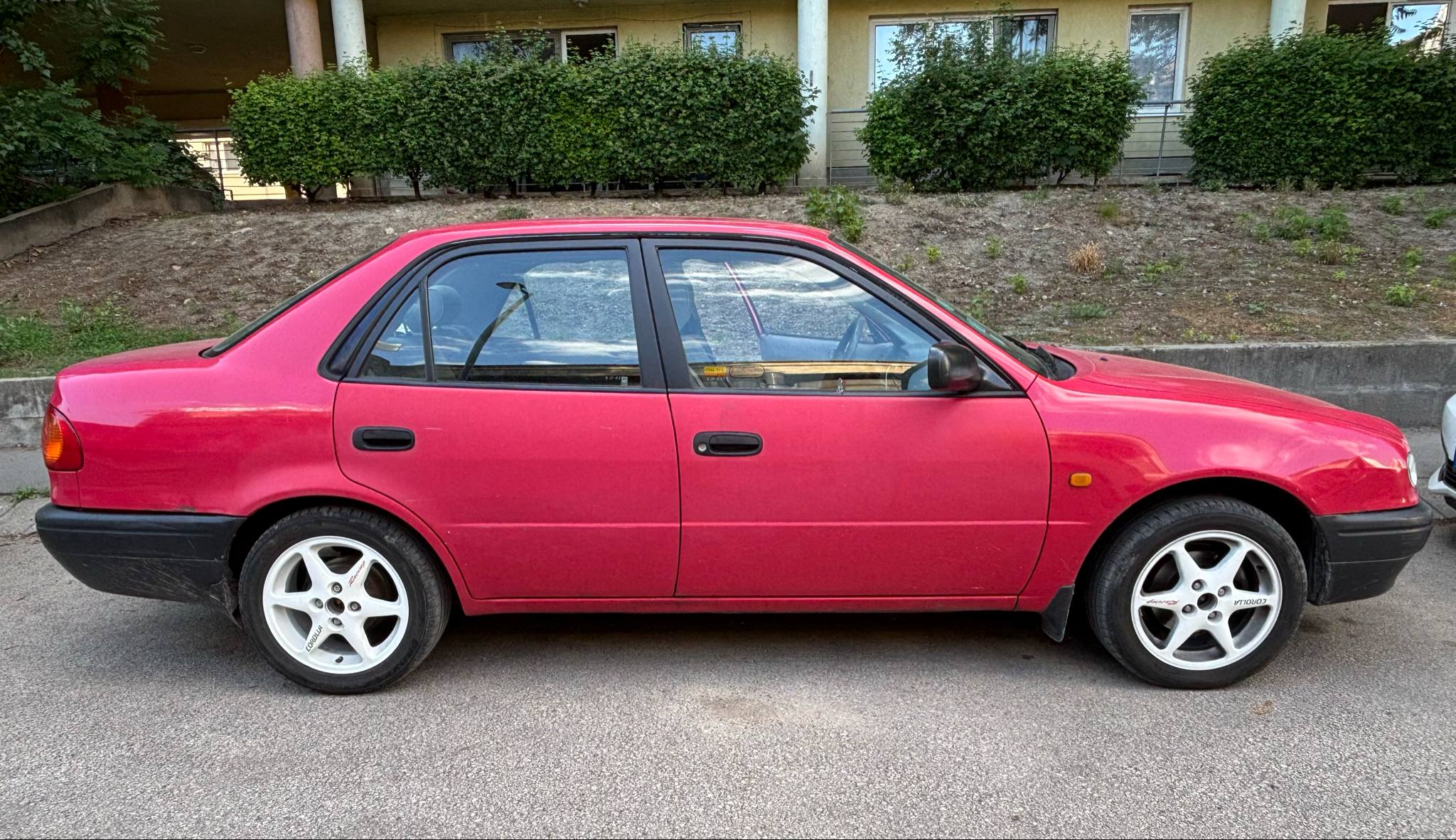 corolla_junius_04.jpg