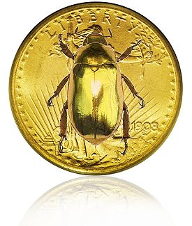 gold_bug_1.jpg