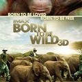 Born To Be Wild 3D