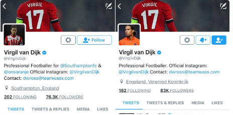 vandijk.png