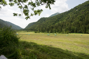 Wasserlochklamm (Palfau)