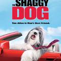 Angyal helyett állatbőrben - Összekutyulva (The Shaggy Dog, 2006)