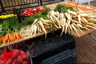 Ha szombat, akkor piac!/It’s Saturday, let’s go to the market!