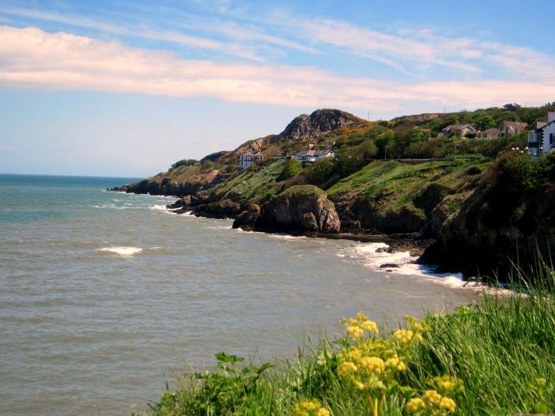 howth-cliff-path-loop-walk-cliffside-houses-near-dublin-city-irelands-ancient-east-top-walks-and-best-things-to-see-and-do-in-dublin-city.jpg