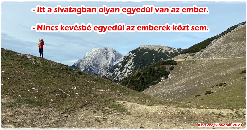 pitypang-dudi-kisherceg-idezet2-2021.jpg