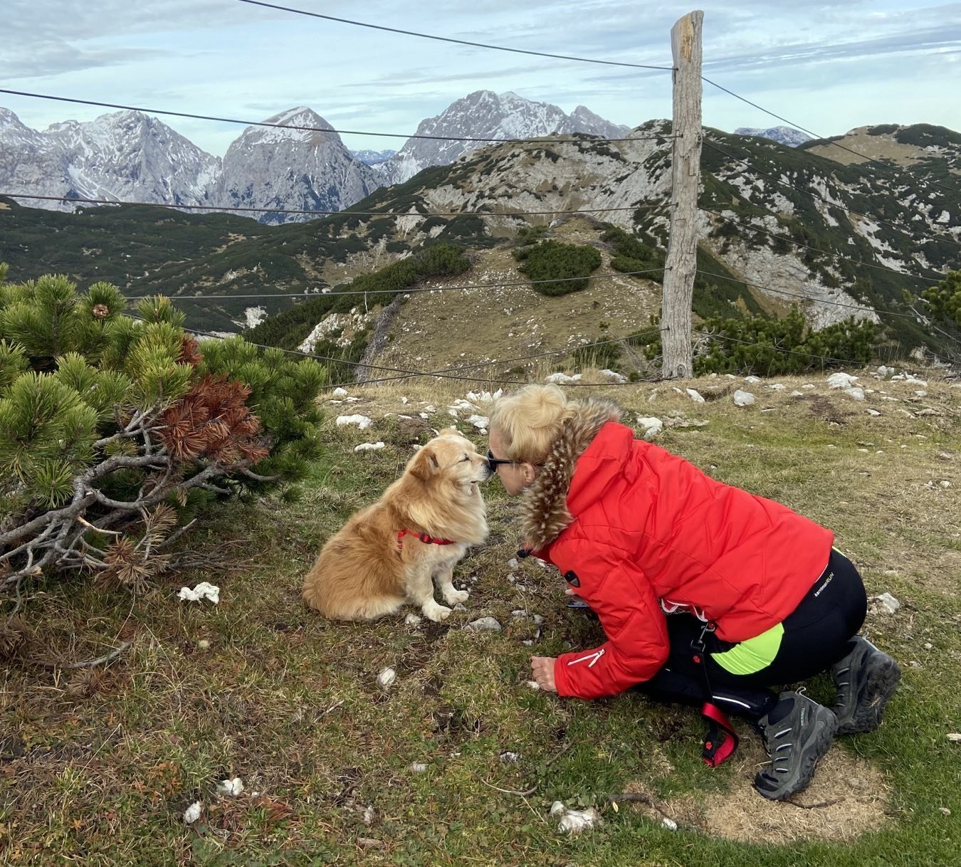 viber_kep_2021-10-19_19-14-04-484-dudipitypang-love-slovenia-kismeret.jpg