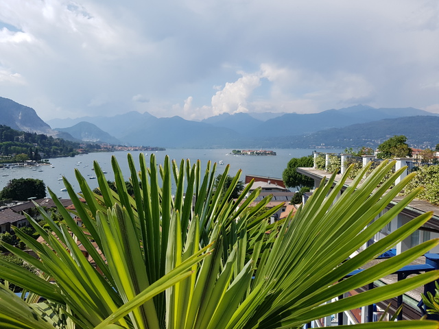 Kedvedre: Lago Maggiore I.