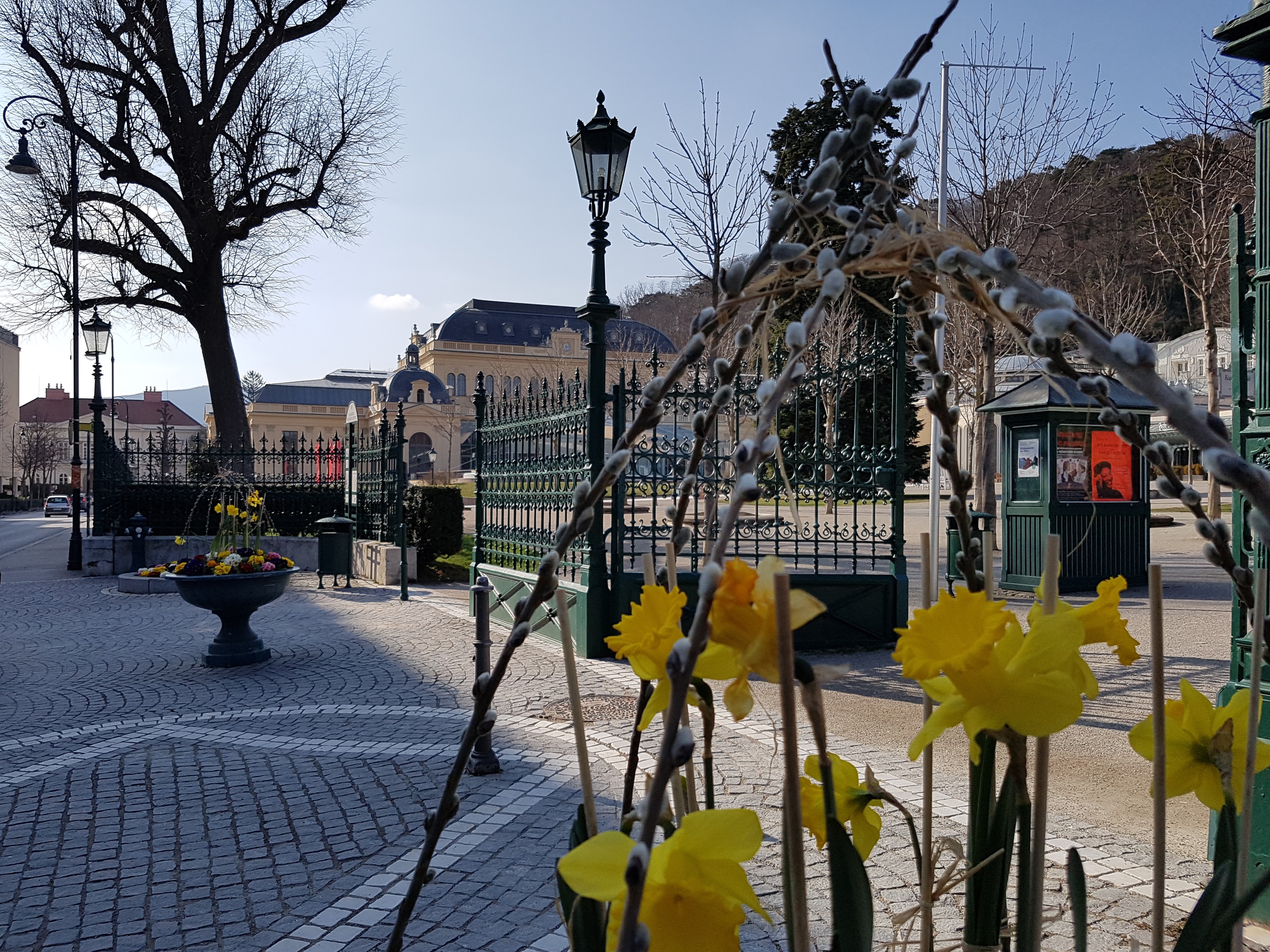 20180324_145717.jpg