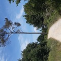 10. Pontevedra - Barro