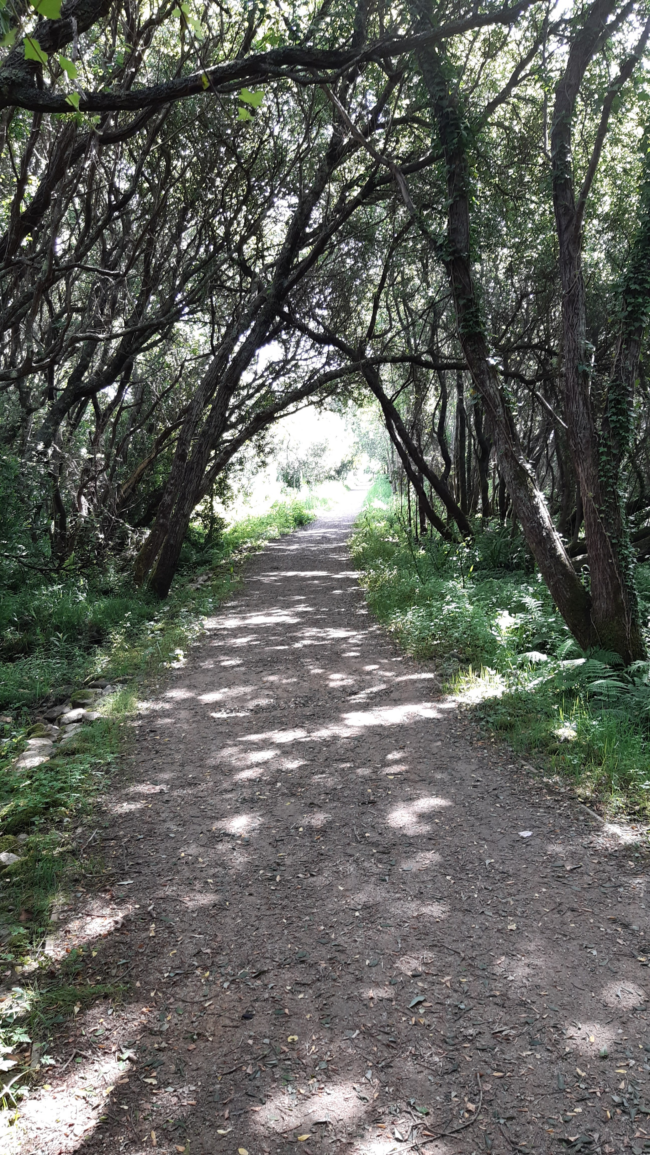 20230516_105933.jpg