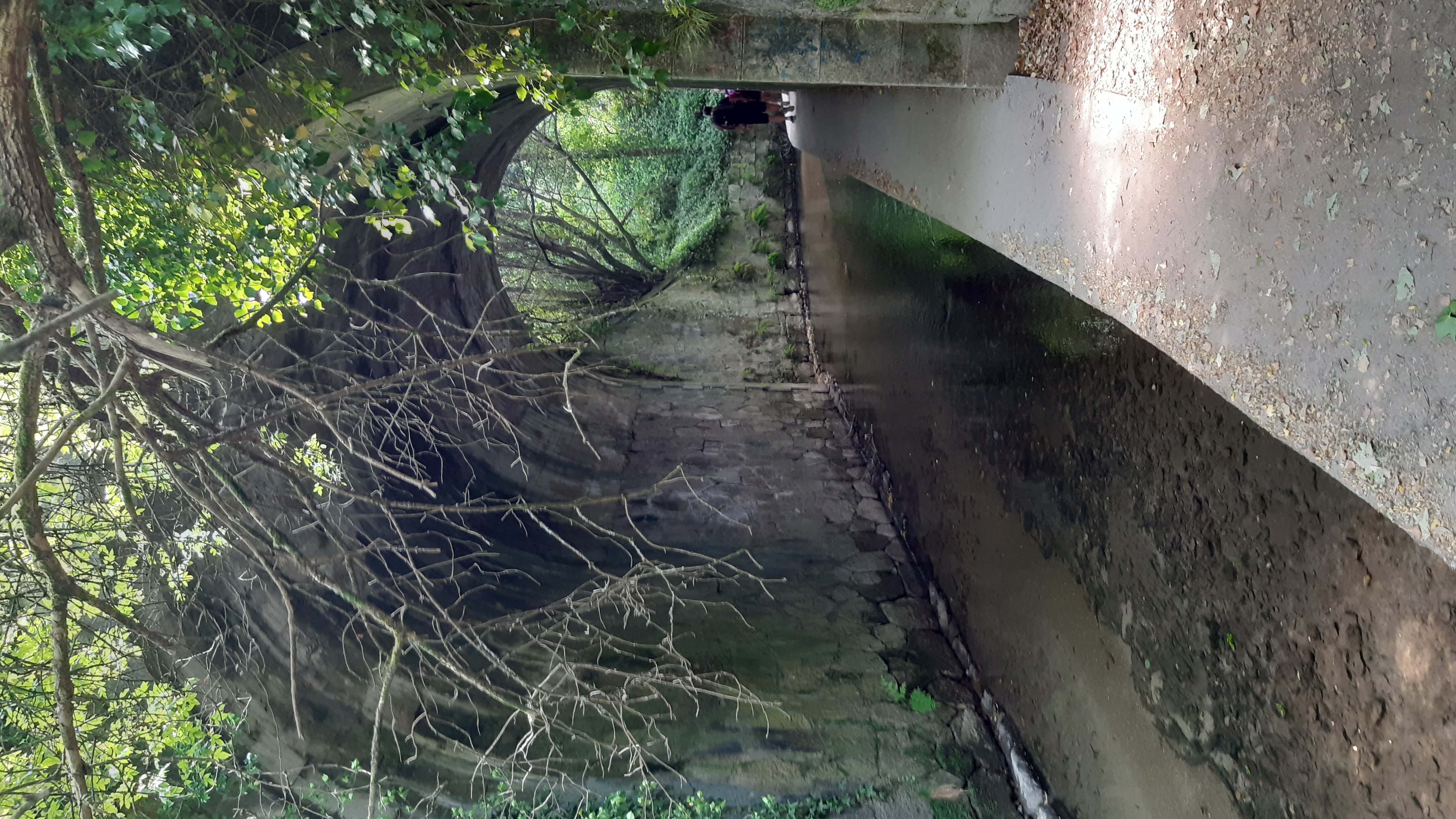 20230521_153132.jpg