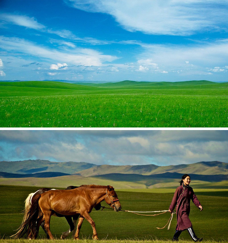 mongolian-manchurian-grassland.jpg