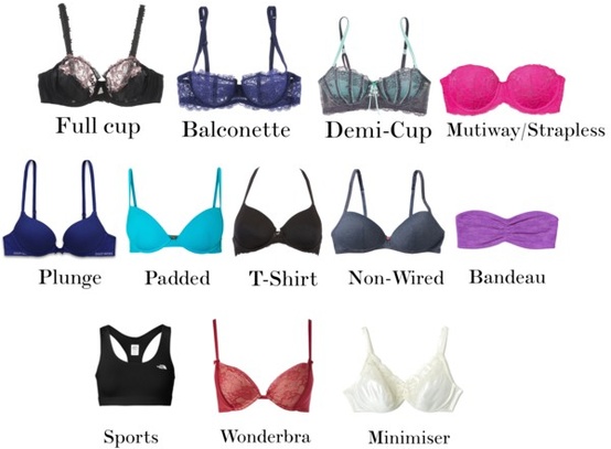 more-bra-types.jpg