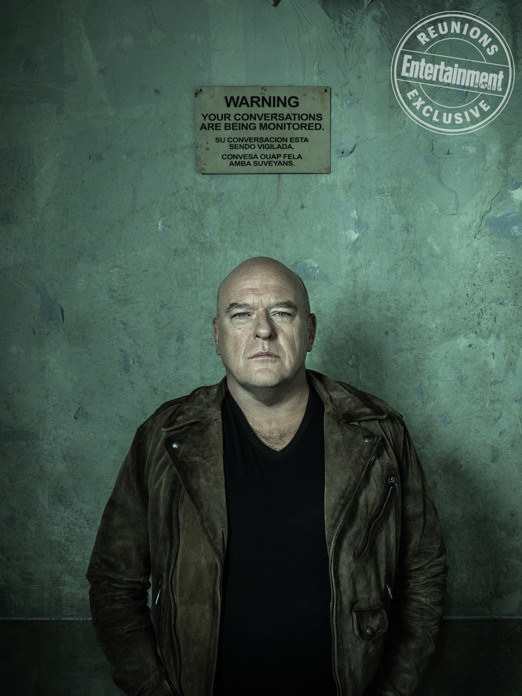 Dean Norris (Hank Schrader)