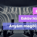 Esküvőkiállítás 2017, avagy anyám megö(ő)rült