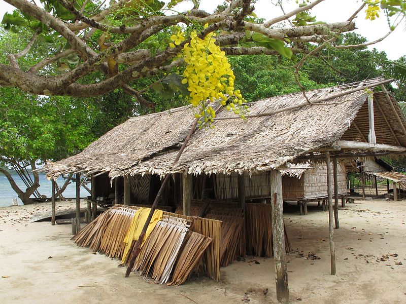 a_village_house_with_a_new_sago_palm_leaf_roof_ready_to_be_installed_nughu_island_central_province_10664080205.jpg