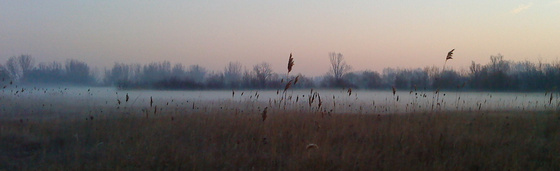 Ipari zen: DSC00793