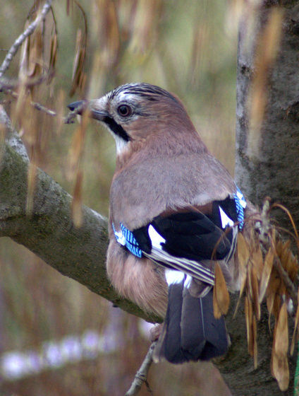 Ipari zen: DSC 0023.NEF