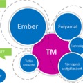 Tudásmenedzsment projekt komponensek