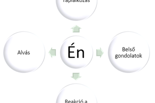 Tudatosság a hétköznapokban