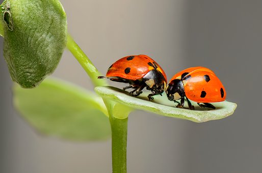 8 tipp a jó veszekedéshez