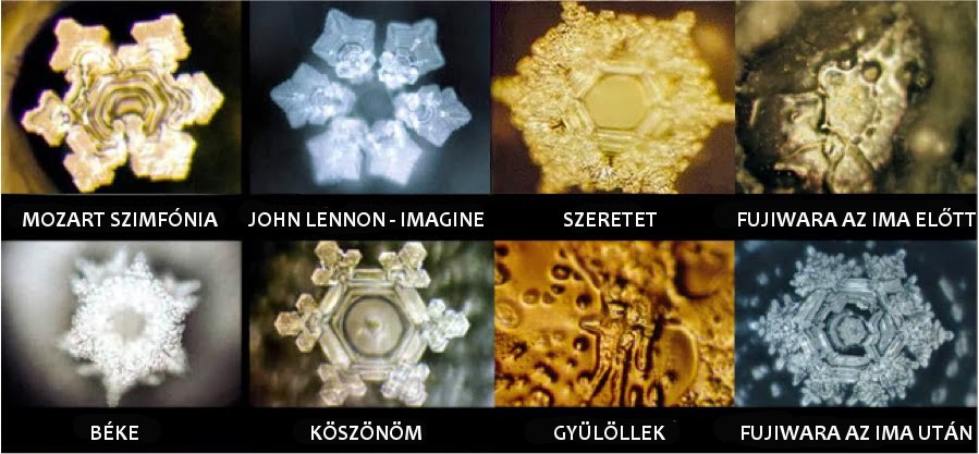 emoto1.jpg