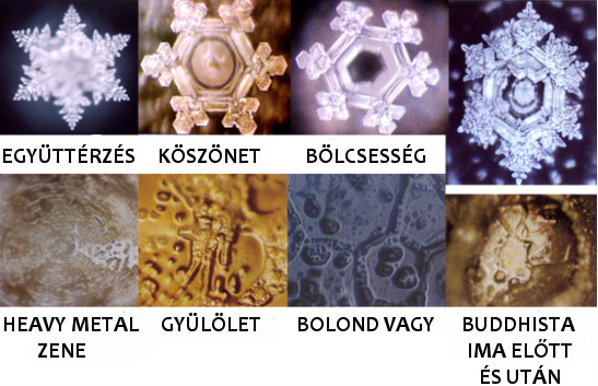 emoto2.jpg