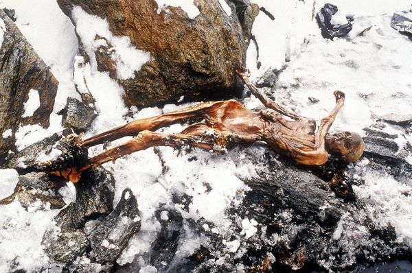 Ötzi.jpg