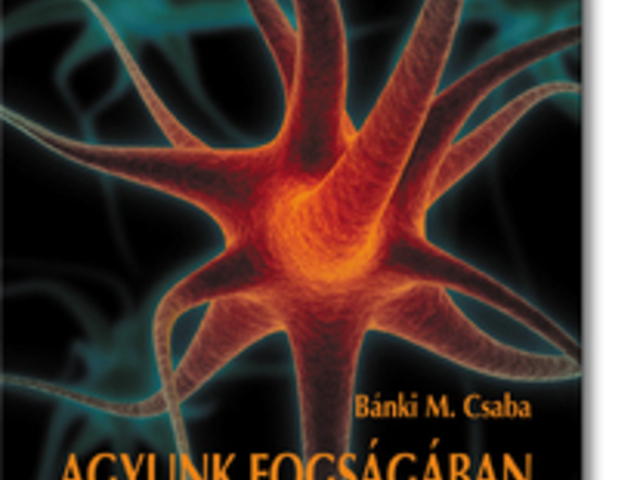 Bánki M. Csaba: Agyunk fogságában