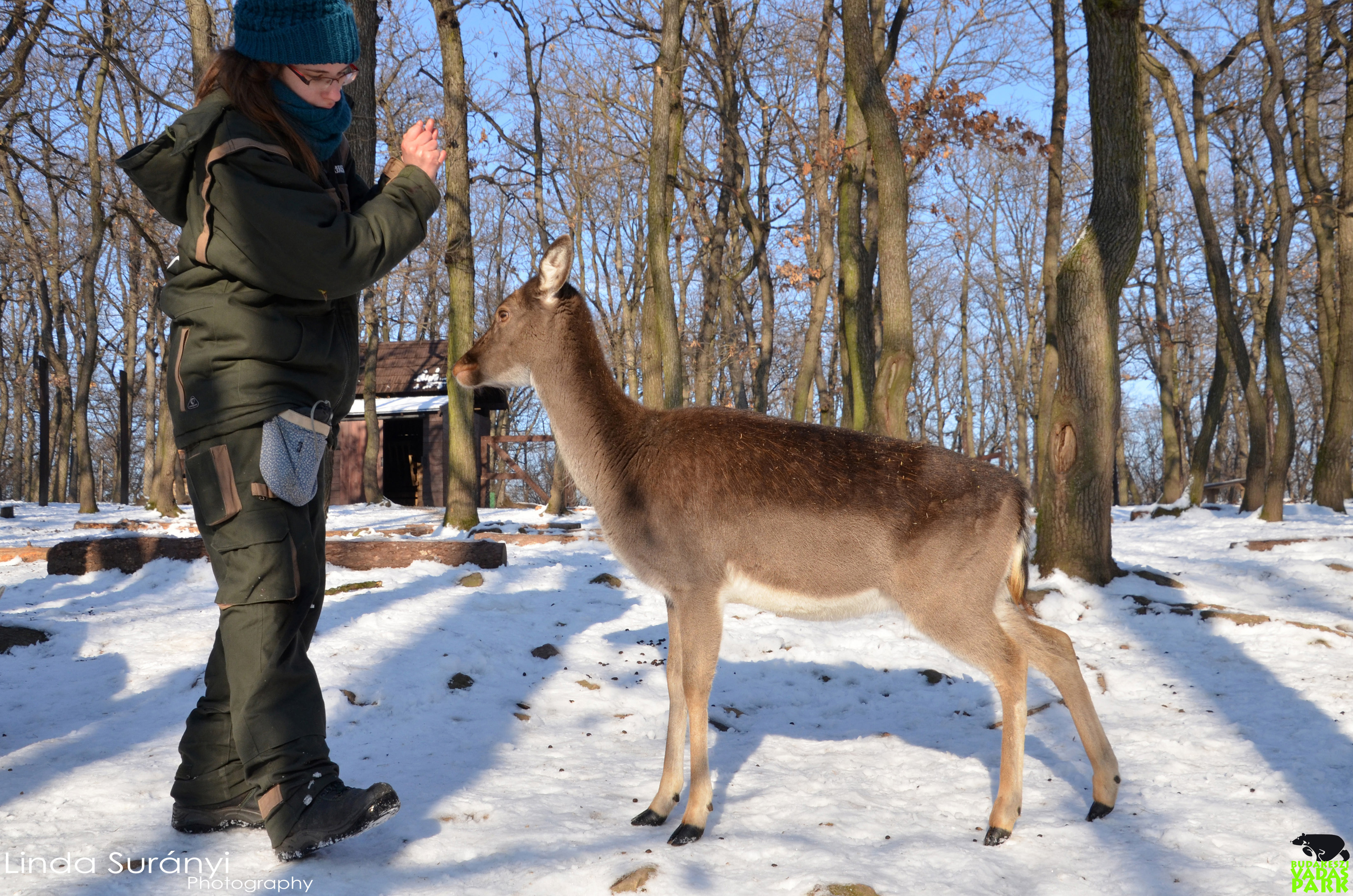 trening-17-01-19-suranyi-dsc_0068-2.jpg